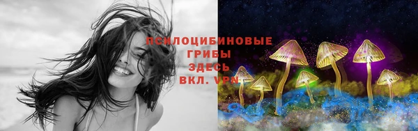 spice Верея