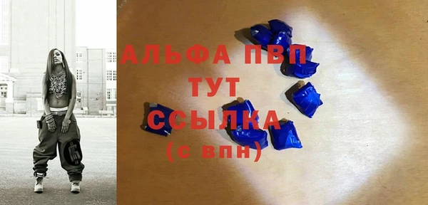 spice Верея