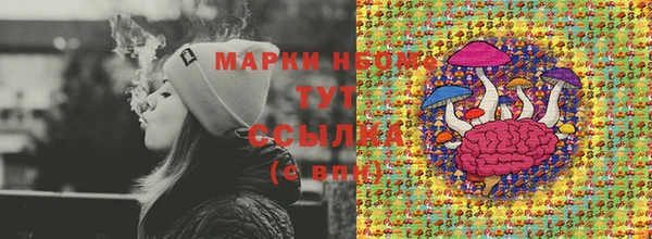 молекула духа Верхний Тагил
