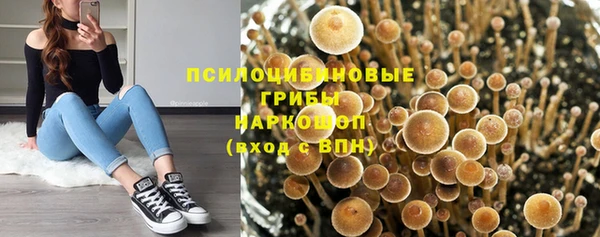 spice Верея